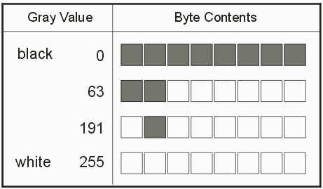gray levels vs BMP byte encoding