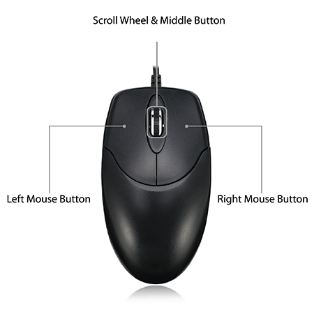 a mouse with three buttons, the center one being a wheel is best for moving around inside of the VLBV display.